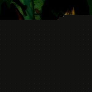 Profile Picture of Cathy Liang (@389833815) on Myspace