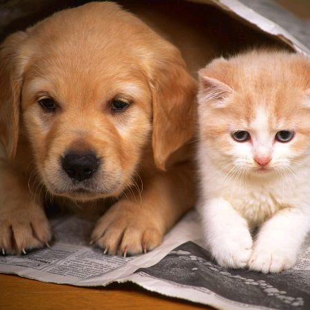 Profile Picture of Cuong VDO (@cuongvdo08) on Tiktok