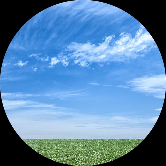 Profile Picture of Jean Rene (@chijr) on Poshmark