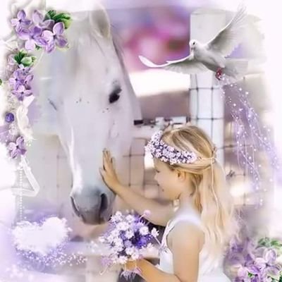 Profile Picture of Doaa Ahmed (@DaDoaaahmed27) on Twitter