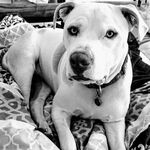 Profile Picture of Tarryn Buss (@kodabumsmum) on Instagram