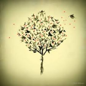 Profile Picture of Scott Prell (@scottprell) on Pinterest