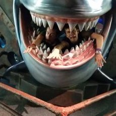 Profile Picture of Michael Niwinski (@shtoopidhead) on Twitter