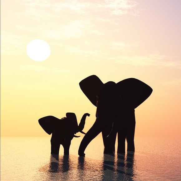 Profile Picture of Gina Nastase (@ginamarie01) on Poshmark