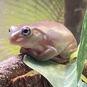 Profile Picture of Cole Campbell (@Cole_Campbell7) on Pinterest