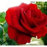 Profile Picture of Edwin Kumar (@edwin-kumar-26) on Quora