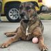 Profile Picture of Shelly Cavanaugh (@turtlehood) on Pinterest