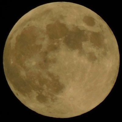 Profile Picture of Matthew Hinman (@MatthewHinman1) on Twitter