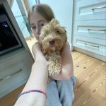 Profile Picture of Mackenzie Stephens (@mackenzie.stephens_) on Instagram