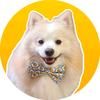 Profile Picture of Scott.Kennel (@scott.kennel) on Tiktok