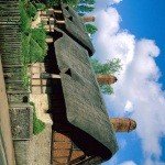 Profile Picture of Pellegrino (@cassandracdx5h) on Instagram