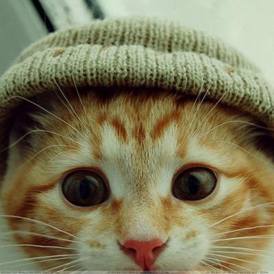 Profile Picture of Bryan Lee (@OmPearlie) on Twitter