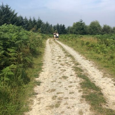 Profile Picture of Mark Hornsby (@thehornberry) on Twitter