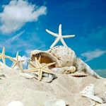 Profile Picture of Lucia Shaw (@lucia_shaw49) on Instagram