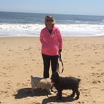 Profile Picture of Lisa Auchincloss Harman (@lisaauchinclossharman) on Instagram