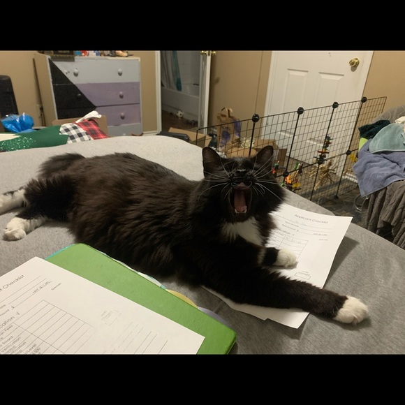 Profile Picture of Samantha Daughtry (@samanthadaug305) on Poshmark