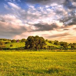 Profile Picture of Justin J. Spratt (@TeresaWNelson1) on Twitter