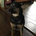Profile Picture of Scott Riddell (@scott.riddell.904) on Facebook