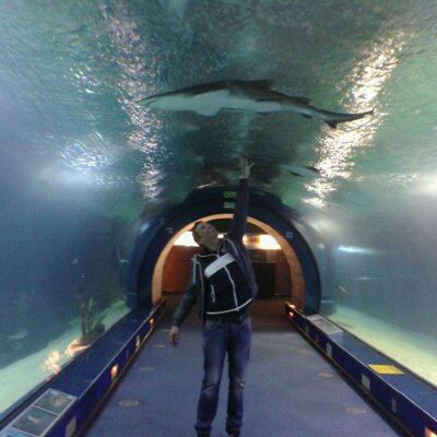 Profile Picture of Javier Lopez (@J_Avellaneda_14) on Twitter