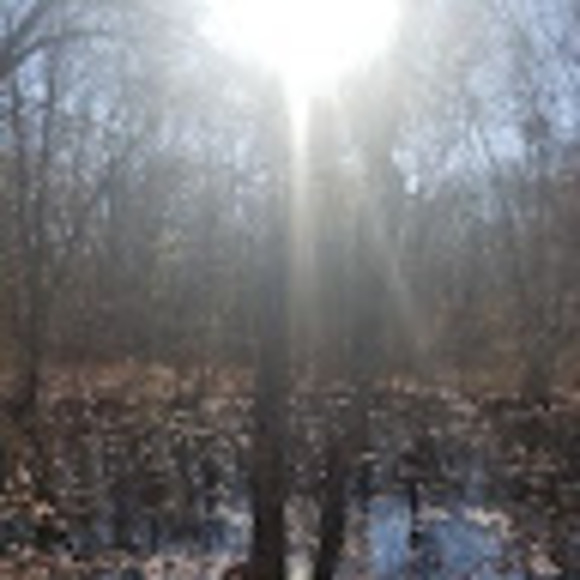 Profile Picture of Laine Deciutiis (@deciutiiset) on Poshmark