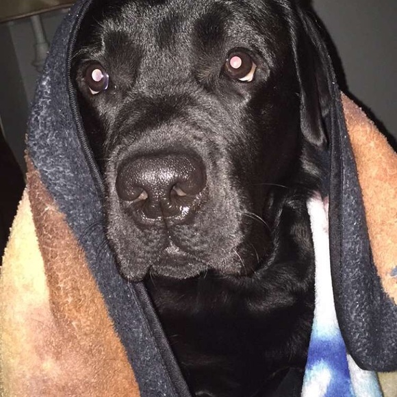 Profile Picture of Matthew Domonkos (@xmatt54) on Poshmark