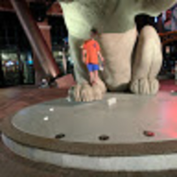 Profile Picture of Libby Saurbaugh (@aliengurl1169) on Poshmark