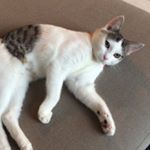 Profile Picture of Andrew Musson (@andrew.musson.13) on Instagram