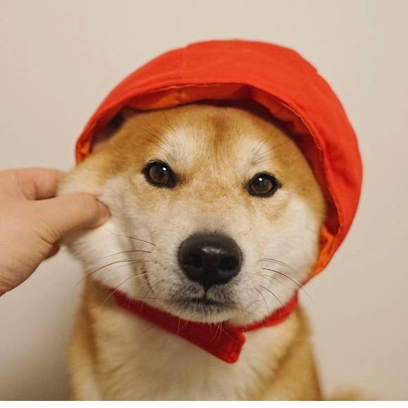 Dongmin Lee - Poshmark Profile Picture of Dongmin Lee (@sandy9265) on Poshmark