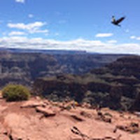 Profile Picture of Brynn Fredericks (@brynn-fredericks) on Quora