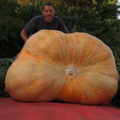 Profile Picture of John Swearingen (@OneGiantPumpkin) on Twitter