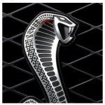 ethanwiggins - Instagram Profile Picture of ethanwiggins (@e_l_whooplegend) on Instagram