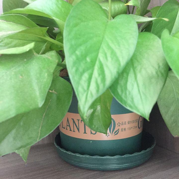 Profile Picture of Ronald Bennett (@ronald.bennett2) on Tiktok