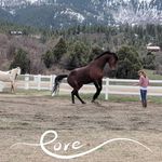Profile Picture of Jeri Lynn Jones Touchstone (@beachtomtnranch) on Instagram
