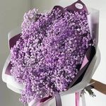 Profile Picture of om areen arona (@omareenarona) on Instagram