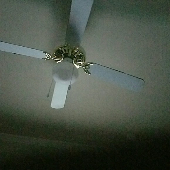 Profile Picture of Lindreus Brazile (@drezb23) on Poshmark