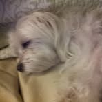 Profile Picture of John Rhoades (@john.rhoades.58173) on Facebook