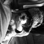 Profile Picture of Mitchell Thomson (@mitchellthomson_) on Instagram