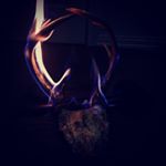 Profile Picture of Erik Travis (@erik_travis45) on Instagram