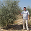Profile Picture of David Marcos (@2000 Olivos) on Flickr