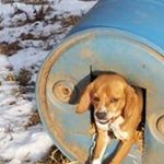 Gale Meyer - Instagram Profile Picture of Gale Meyer (@gale.meyer.52) on Instagram