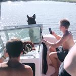 Profile Picture of Michael Borkowski (@mborkowski11) on Instagram