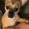 Profile Picture of Carol Potts (@@user382491335) on Tiktok