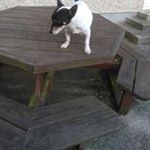 Profile Picture of Stephen Furlong (@steevo3456) on Instagram