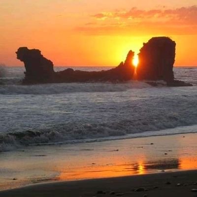 Profile Picture of Norma Susana Vides Garcia (@NormaSusanaVid1) on Twitter