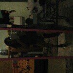 Profile Picture of Rudjacquelyn Otero (@rudjacquelyn) on Instagram