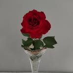 Profile Picture of Judy Dougherty (@Judy-Dougherty) on Facebook