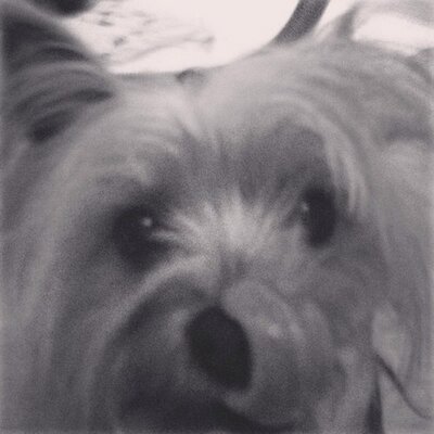 Profile Picture of Josh#jjb (@JjbBendle) on Twitter