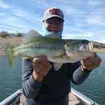 Profile Picture of jim nobles jr (@fishinanimal) on Instagram