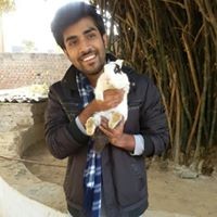 Profile Picture of Abhishek Bhattacharya (@abhishek-bhattacharya-33) on Quora