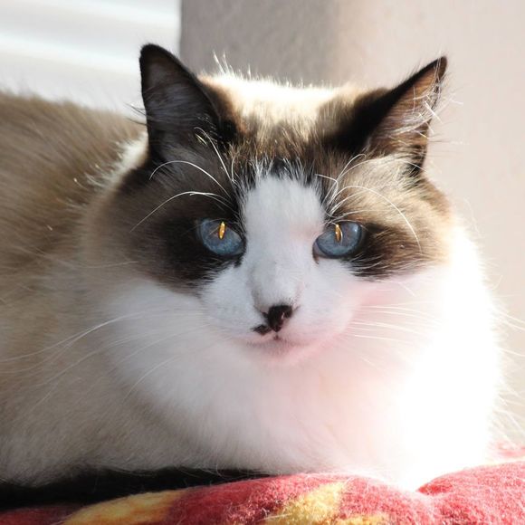 Profile Picture of Cathy Newnham (@cathynewnham) on Poshmark